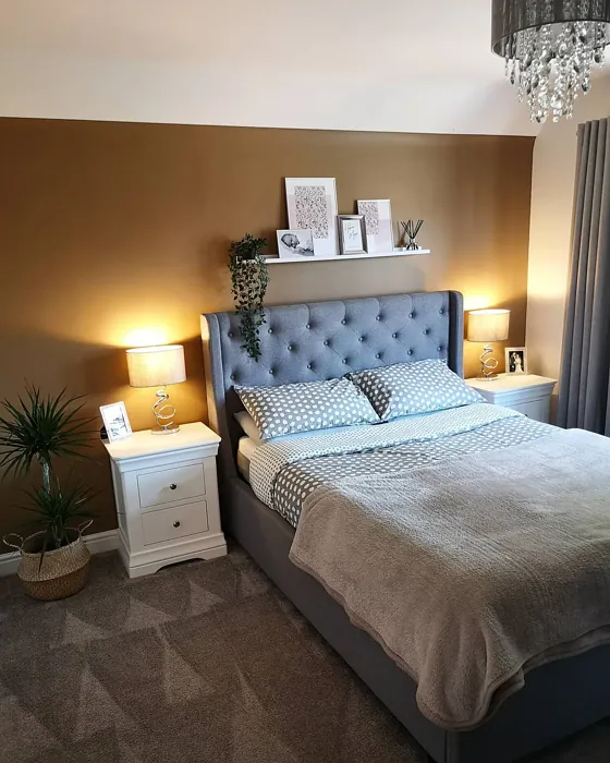 Dulux Spiced Honey bedroom color review