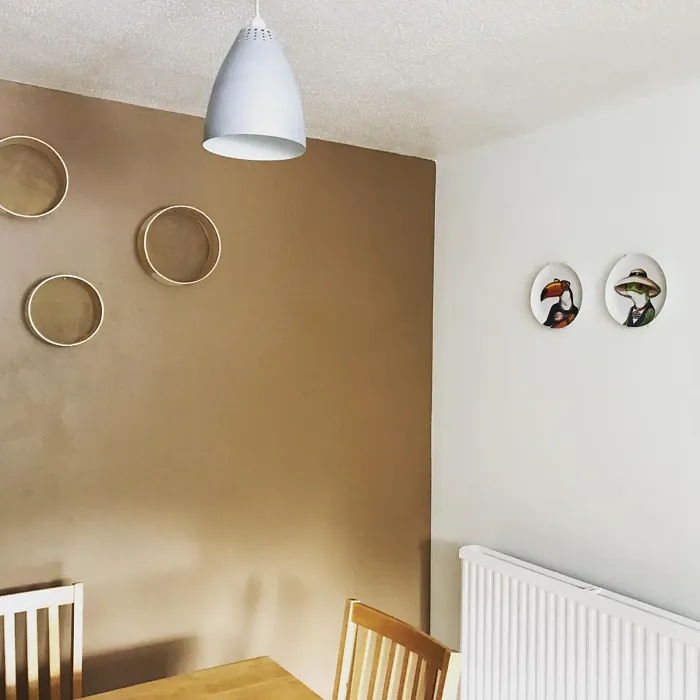 Dulux Spiced Honey dining room color review