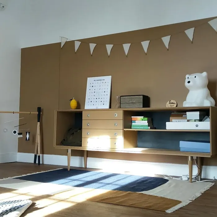 Dulux Spiced Honey kids' room color review