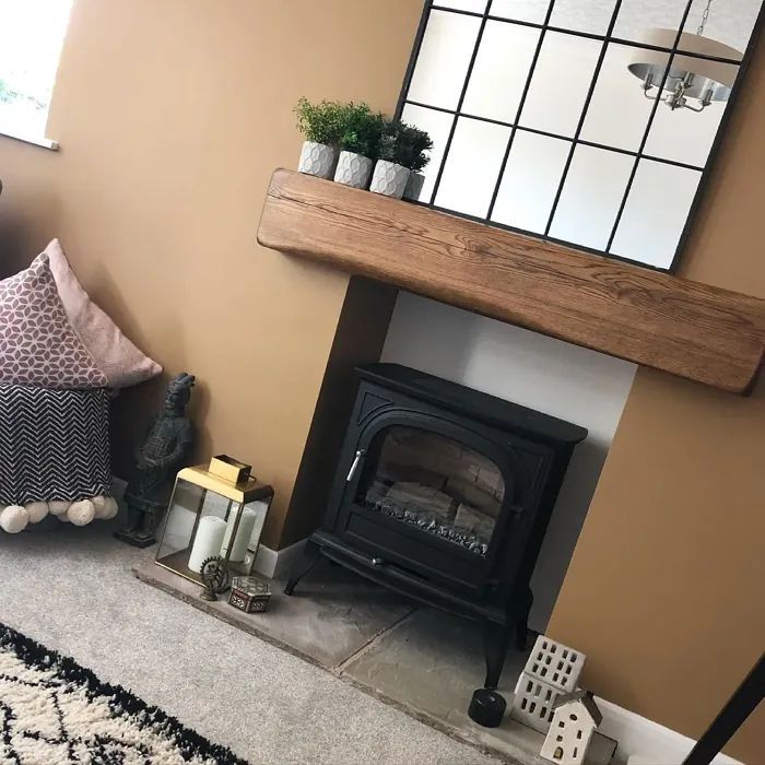 Dulux Spiced Honey living room color review