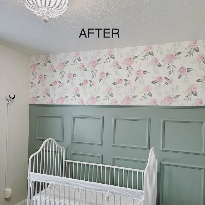 Sherwin Williams Acacia Haze kids' room color review