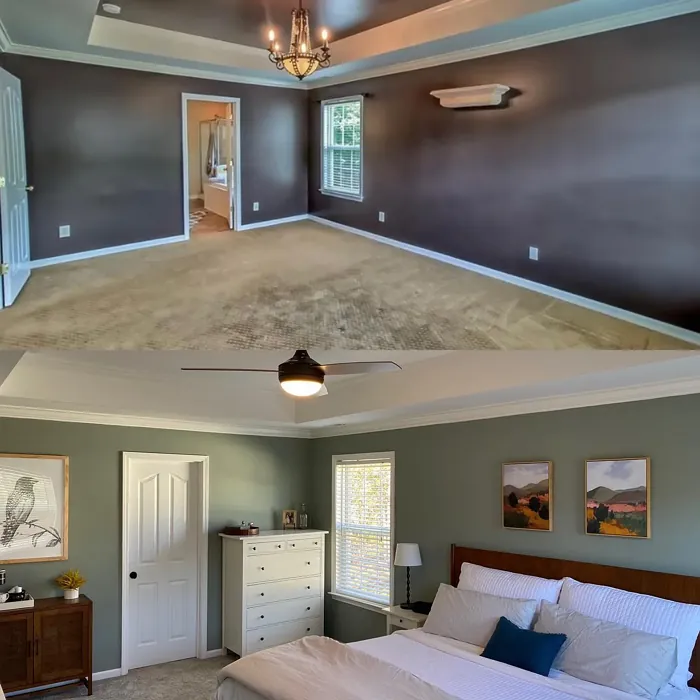 Sherwin Williams Acacia Haze bedroom color review