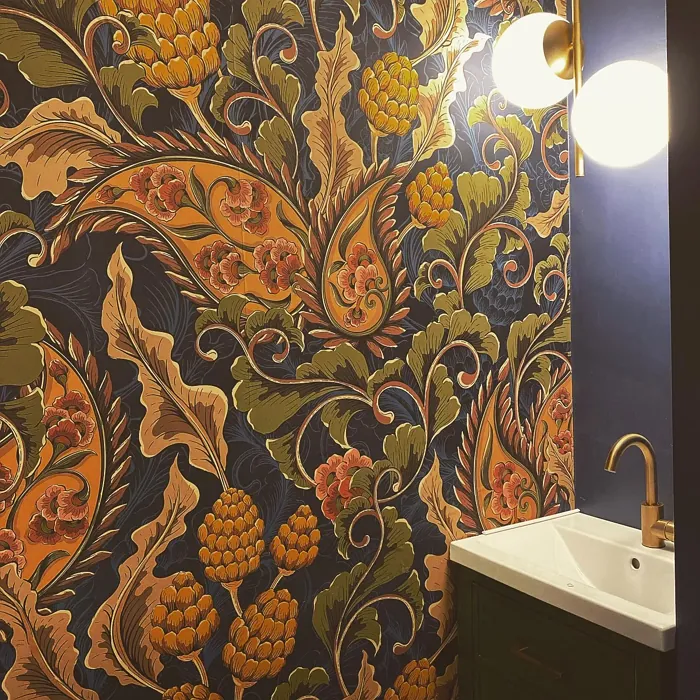 Benjamin Moore Stunning bathroom 