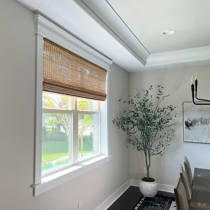 Sherwin Williams City Loft review 