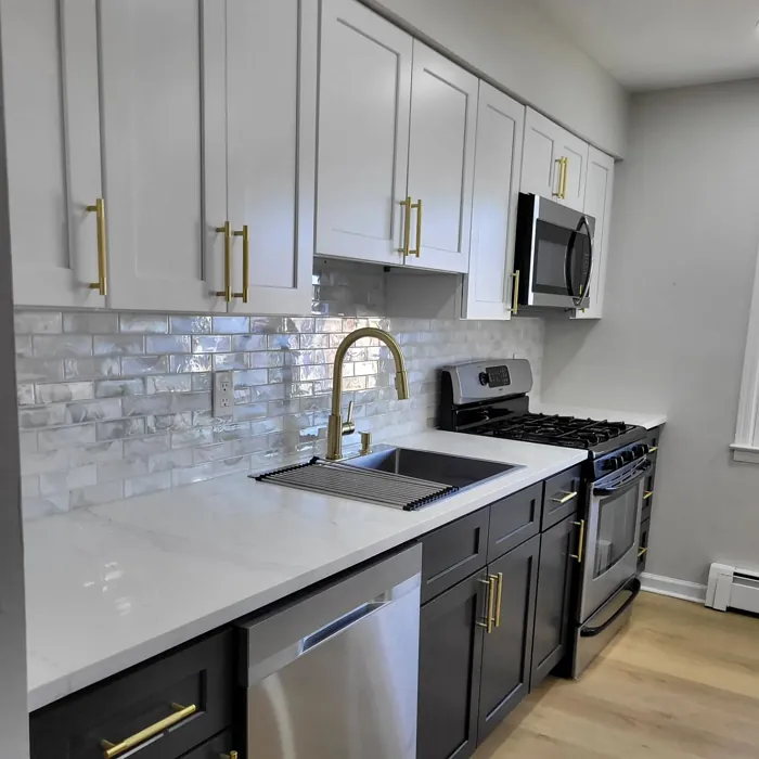 Sherwin Williams City Loft kitchen color