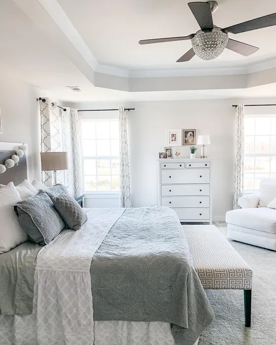 Sherwin Williams City Loft bedroom interior