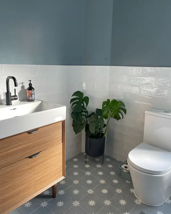 Farrow and Ball De Nimes bathroom 