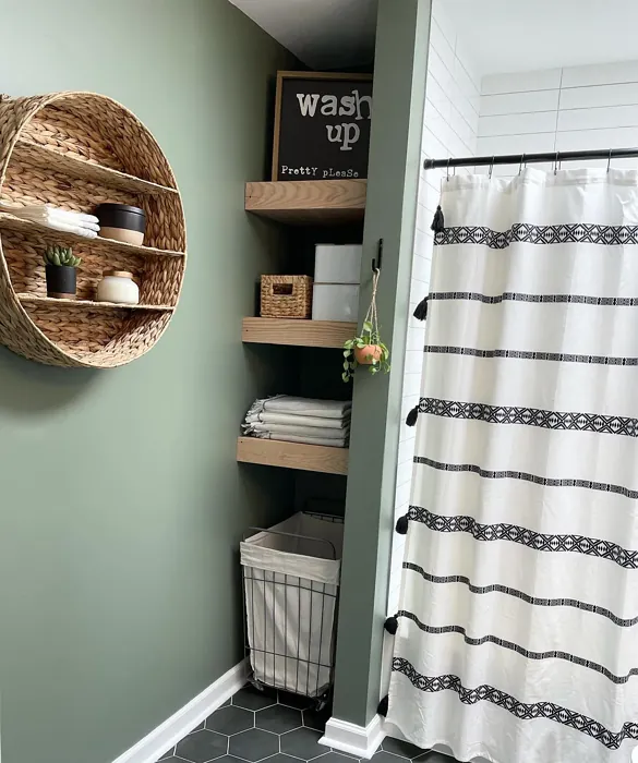 SW Dried Thyme bathroom color