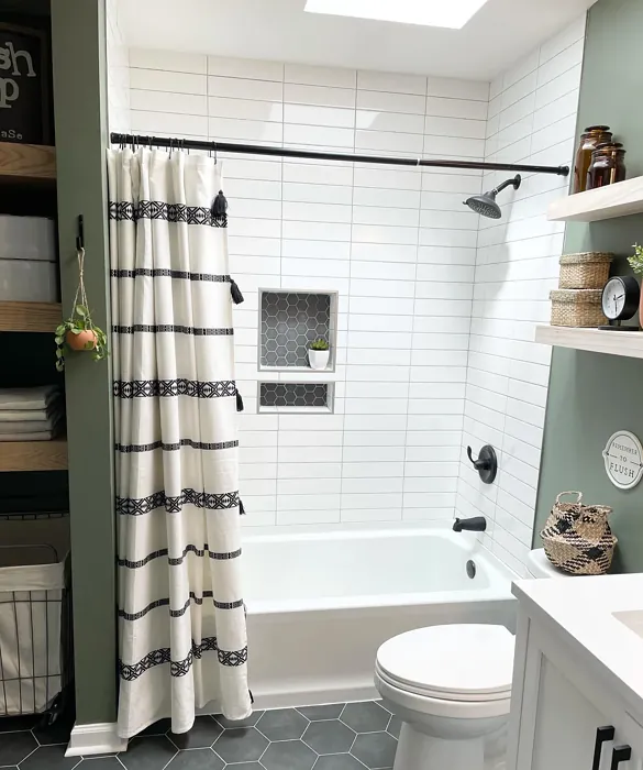 SW Dried Thyme bathroom color