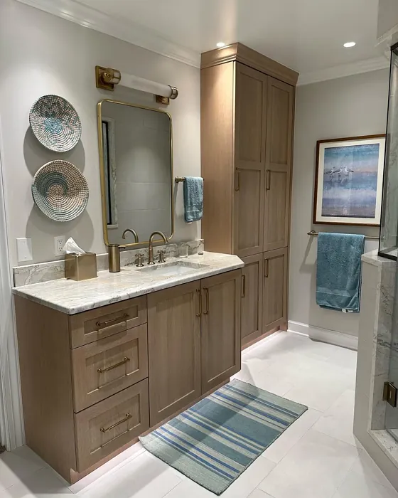 Sherwin Williams SW 9166 bathroom 