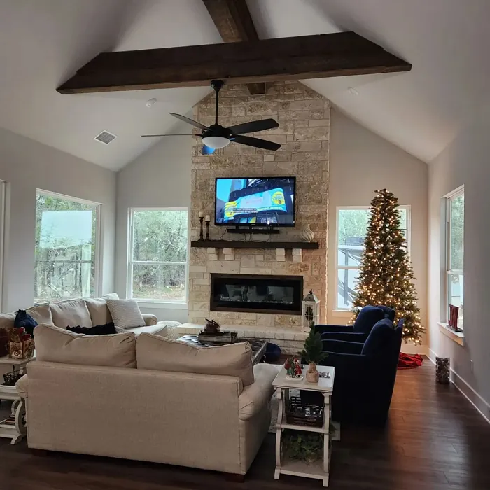 Sherwin Williams SW 9166 living room 