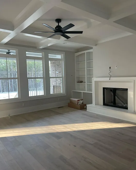 Sherwin Williams SW 9166 living room 