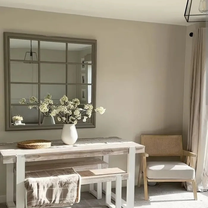 Dulux Egyptian Cotton wall paint color