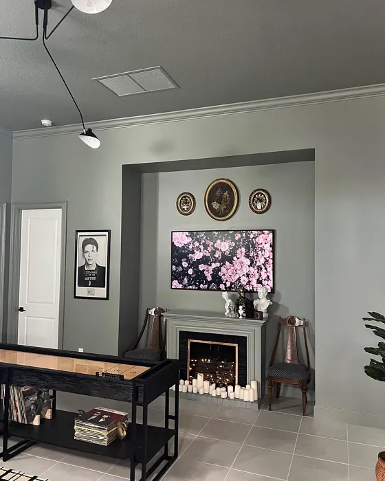 SW Evergreen Fog living room 