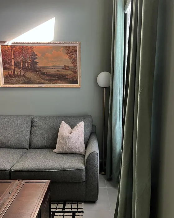 SW Evergreen Fog living room paint