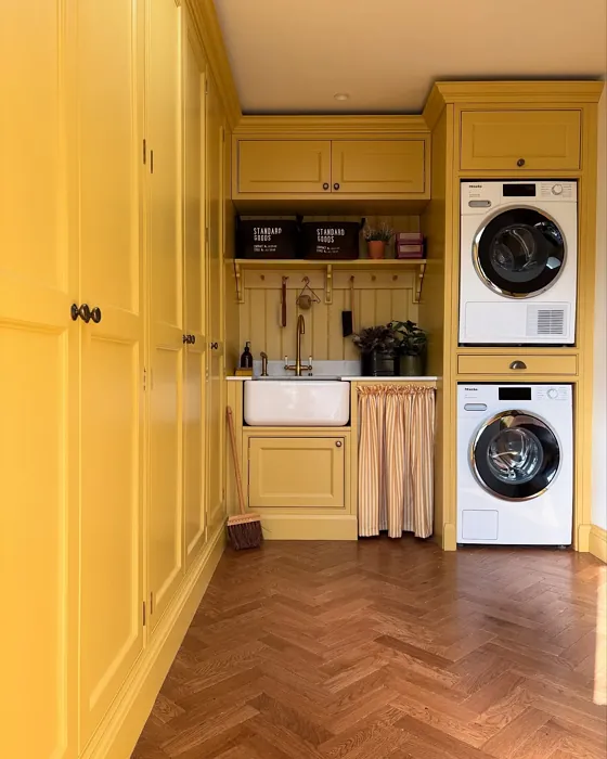 Farrow and Ball Sudbury Yellow painted cabinets 