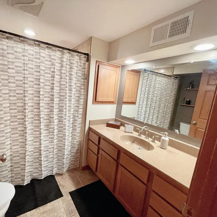 Natural Linen bathroom color