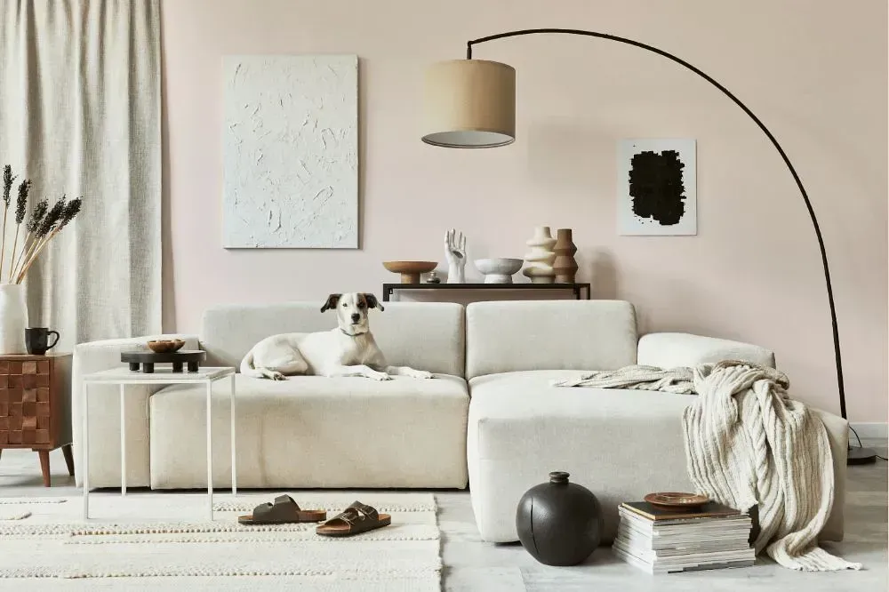 NCS S 0505-Y90R cozy living room