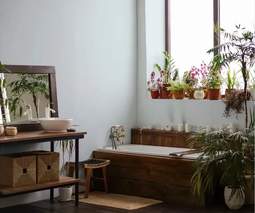 NCS S 0507-B boho bathroom