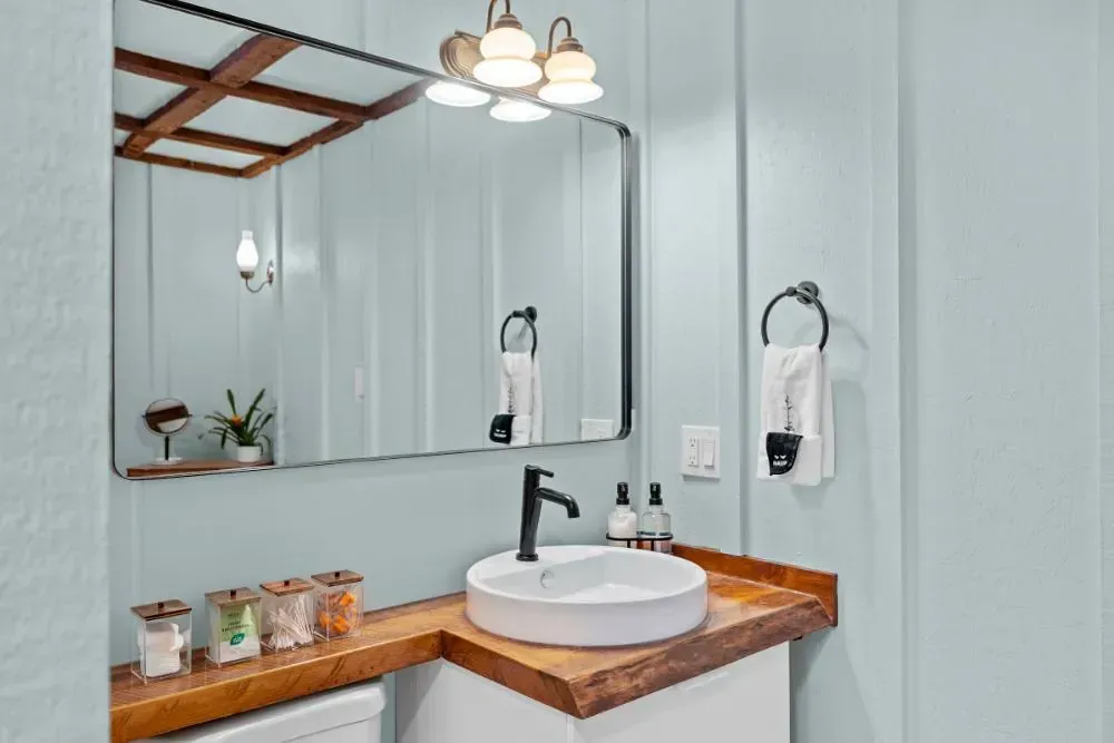 NCS S 0507-B20G small bathroom