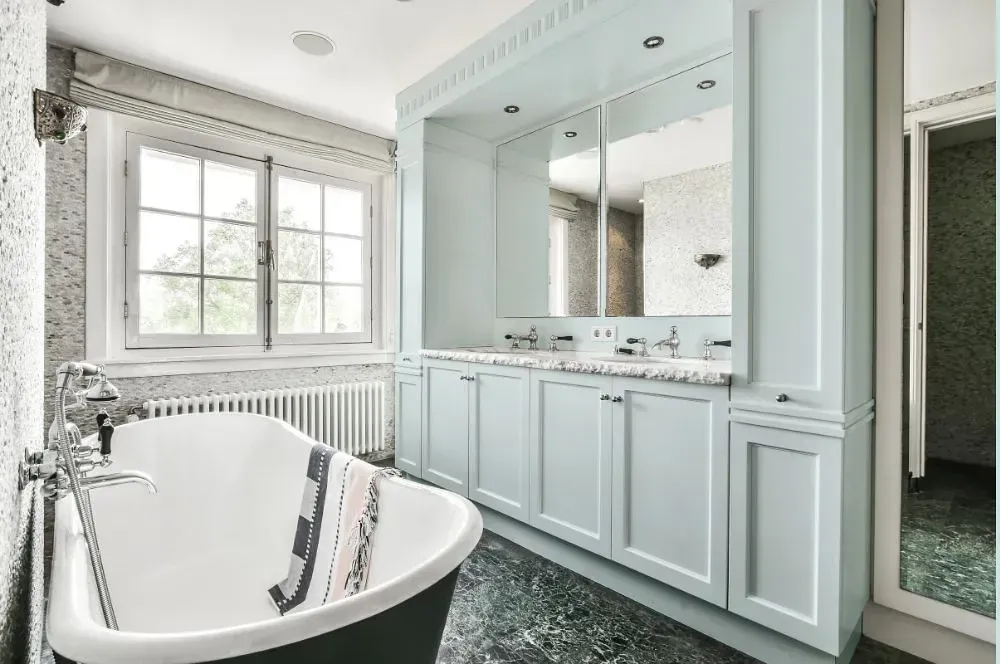 NCS S 0507-B20G victorian bathroom paint