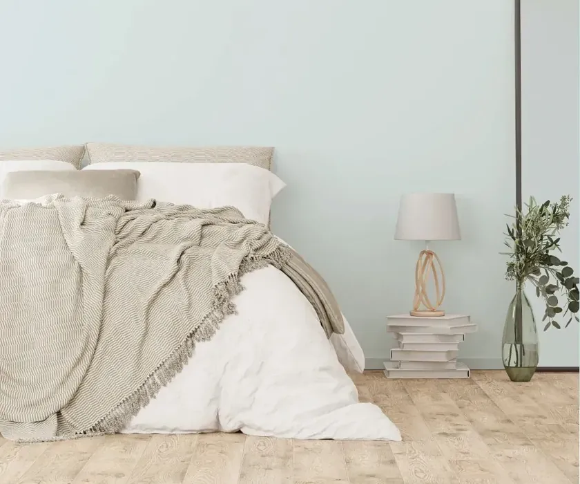 NCS S 0507-B20G cozy bedroom wall color