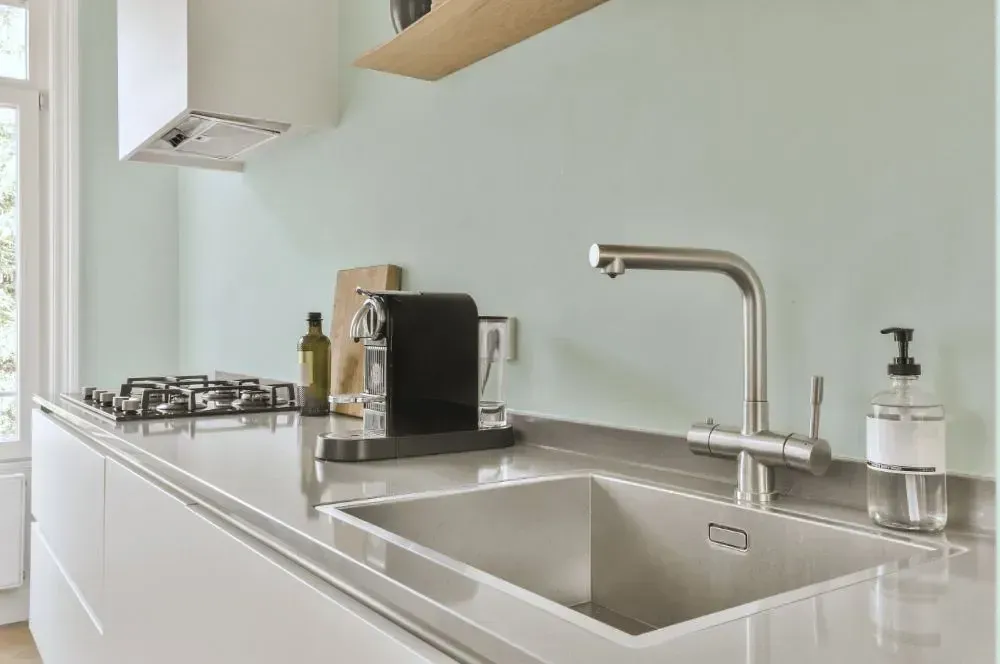 NCS S 0507-B80G kitchen painted backsplash