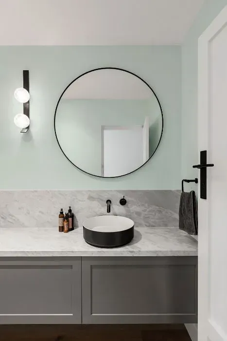 NCS S 0507-B80G minimalist bathroom