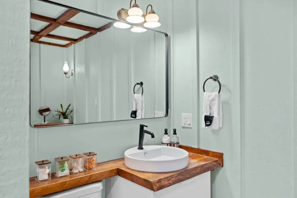 NCS S 0507-B80G small bathroom