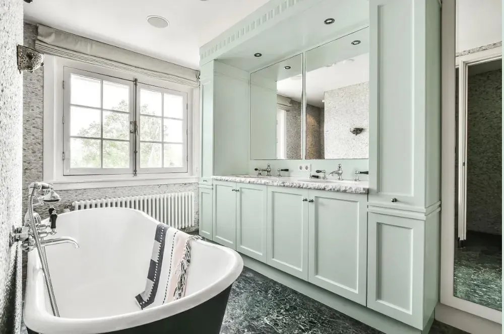 NCS S 0507-B80G victorian bathroom paint