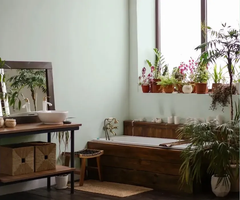 NCS S 0507-B80G boho bathroom