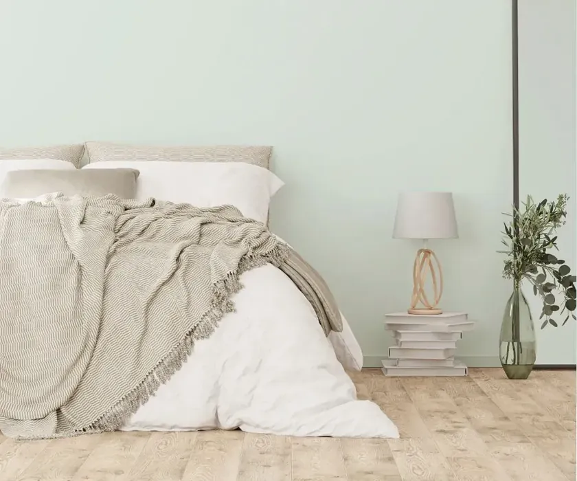 NCS S 0507-B80G cozy bedroom wall color