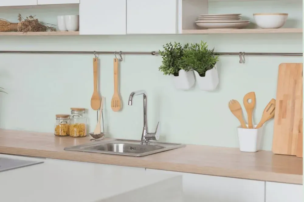 NCS S 0507-G kitchen backsplash