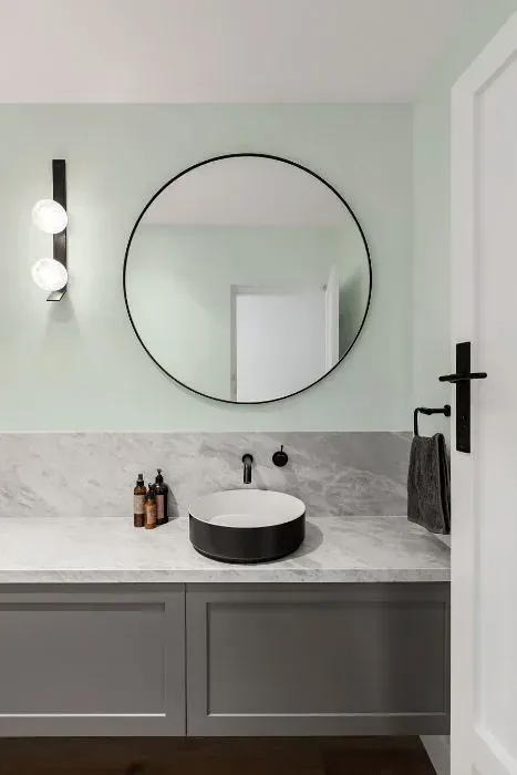 NCS S 0507-G minimalist bathroom