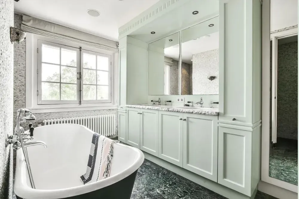 NCS S 0507-G victorian bathroom paint
