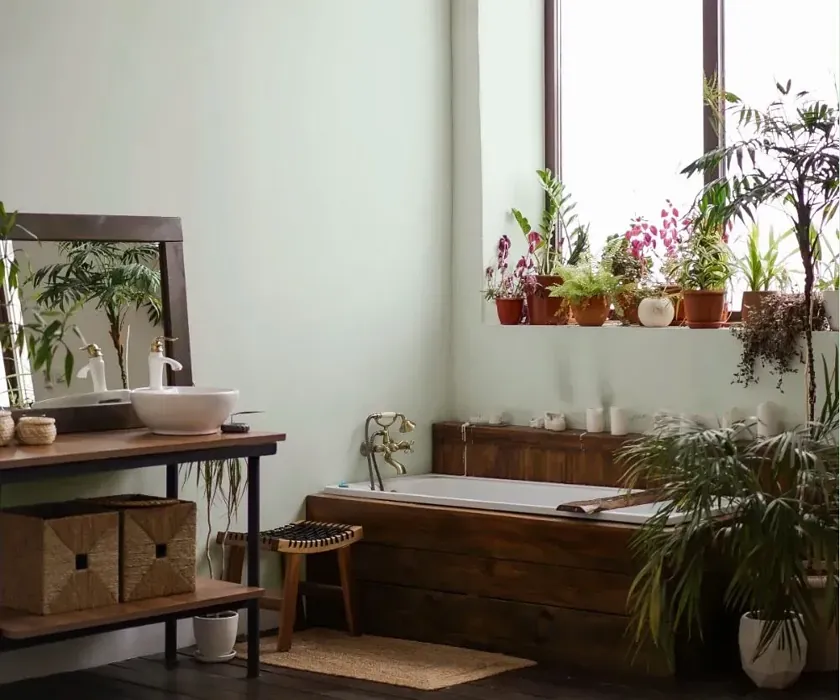 NCS S 0507-G boho bathroom