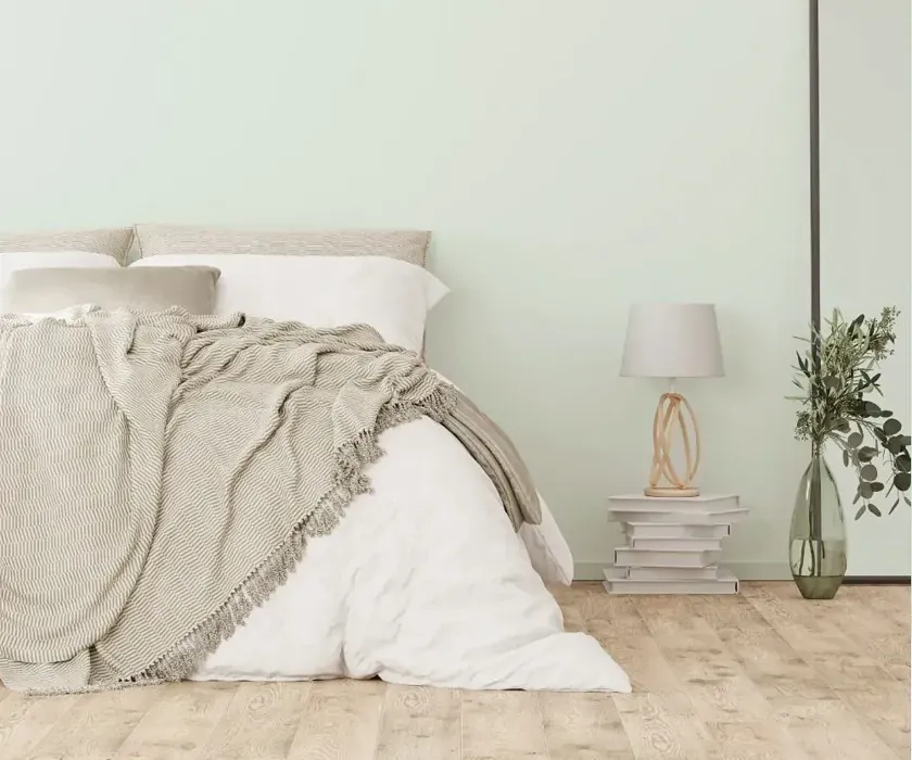 NCS S 0507-G cozy bedroom wall color