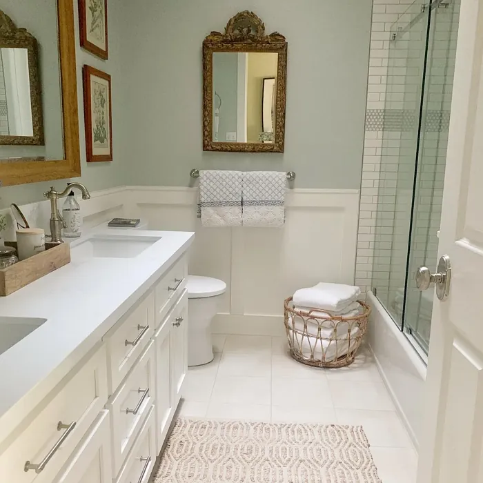 Sherwin Williams Sea Salt bathroom 