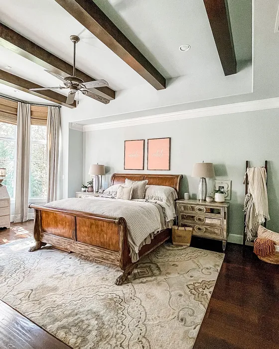 Sherwin Williams Sea Salt bedroom color