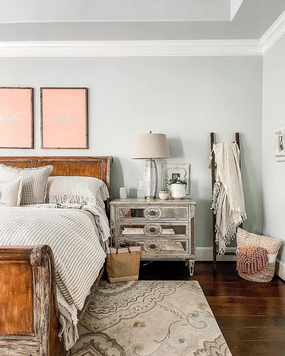 Sherwin Williams Sea Salt bedroom color paint