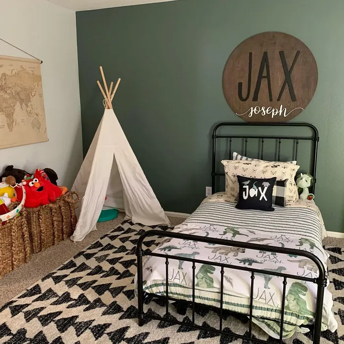 SW Succulent kids' room color