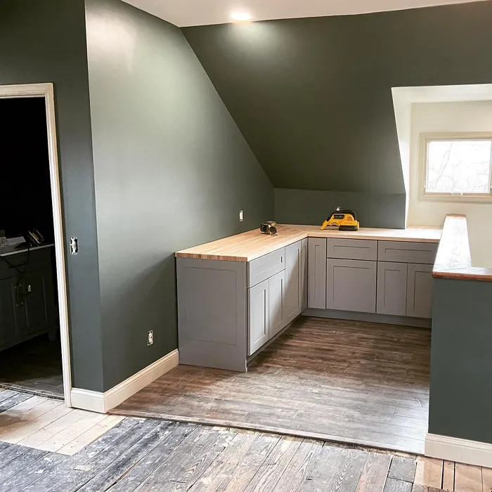Sherwin Williams Succulent wall paint 
