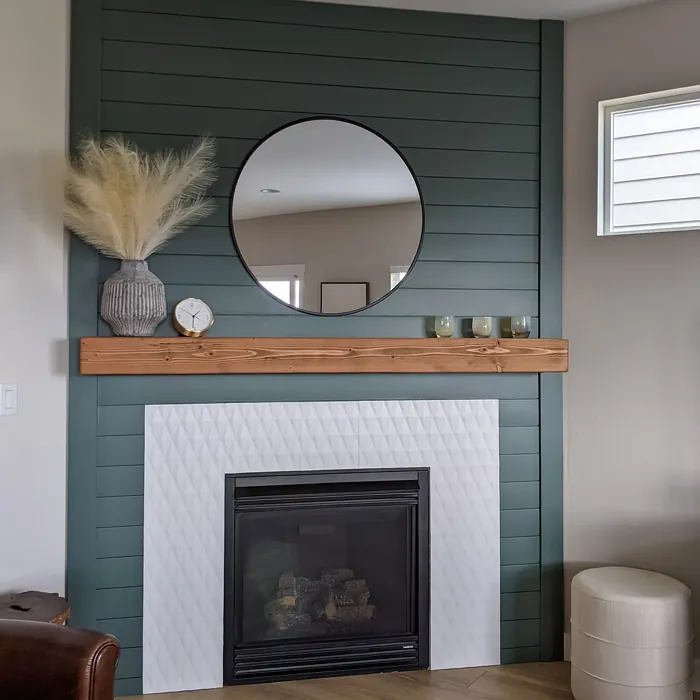 SW Succulent living room fireplace 