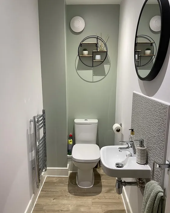 Dulux Tranquil Dawn bathroom 