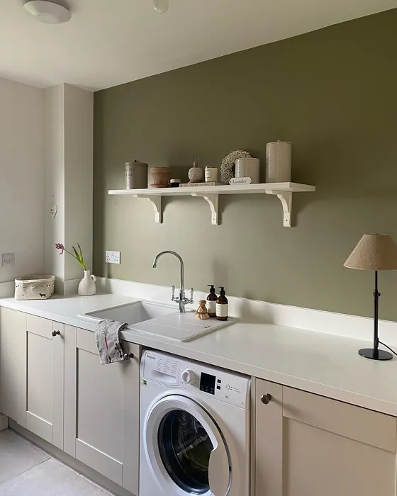 Farrow and Ball Treron kitchen color paint
