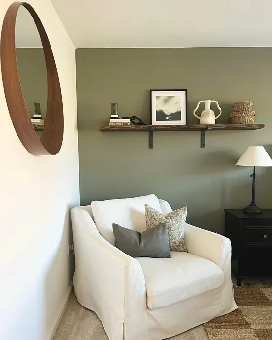 Farrow and Ball Treron living room color
