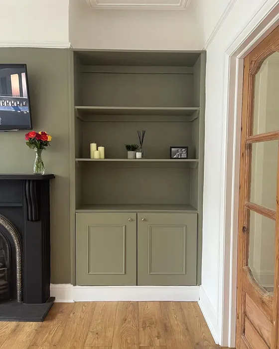Farrow and Ball Treron living room color review