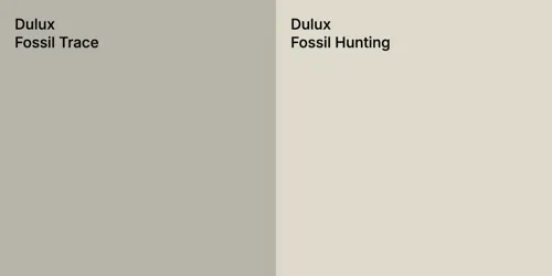 Fossil Trace and Fossil Hunting comparison